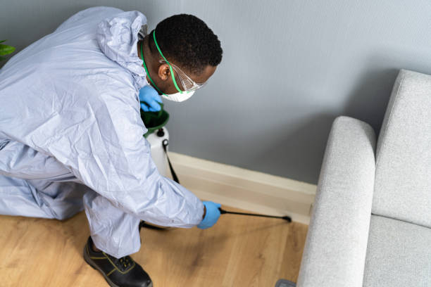 Best Fumigation Services  in St Marys, GA